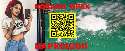 шишки Гай