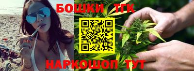 шишки Гай