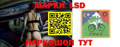 PSILOCYBIN Гатчина