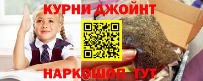 PSILOCYBIN Гатчина