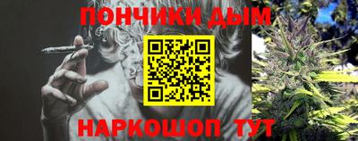 PSILOCYBIN Гатчина