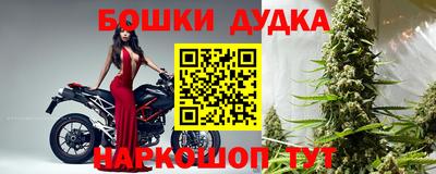 PSILOCYBIN Гатчина