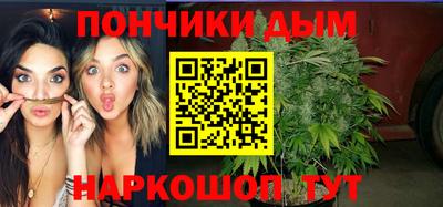 PSILOCYBIN Гатчина