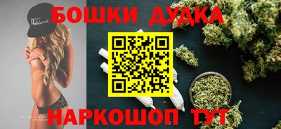 шишки Гай