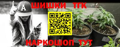 шишки Гай
