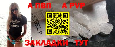 шишки Гай