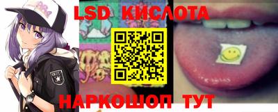 PSILOCYBIN Гатчина