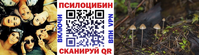 KRAKEN ссылка Кандалакша Галлюциногенные грибы MAGIC MUSHROOMS