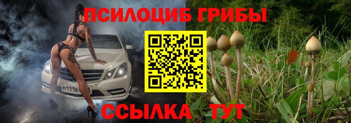 Галлюциногенные грибы ЛСД  Кандалакша 