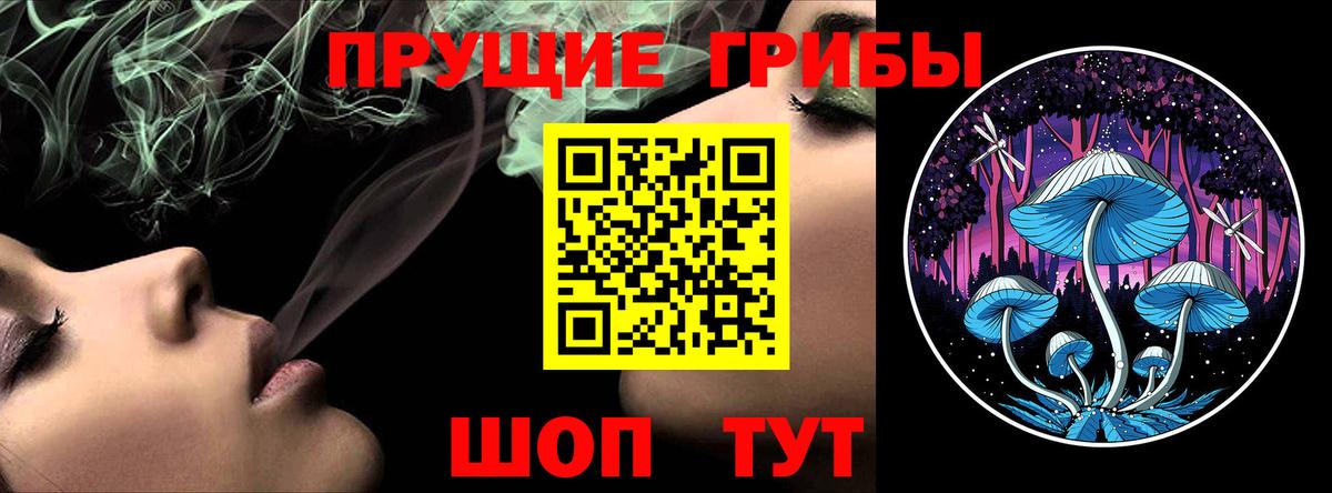 Псилоцибиновые грибы Cubensis Кандалакша